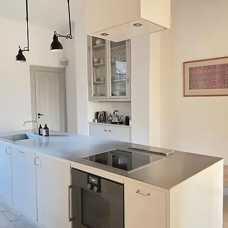 Luxury Designer In Cph Apartament *